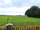hinter dem Grundstück