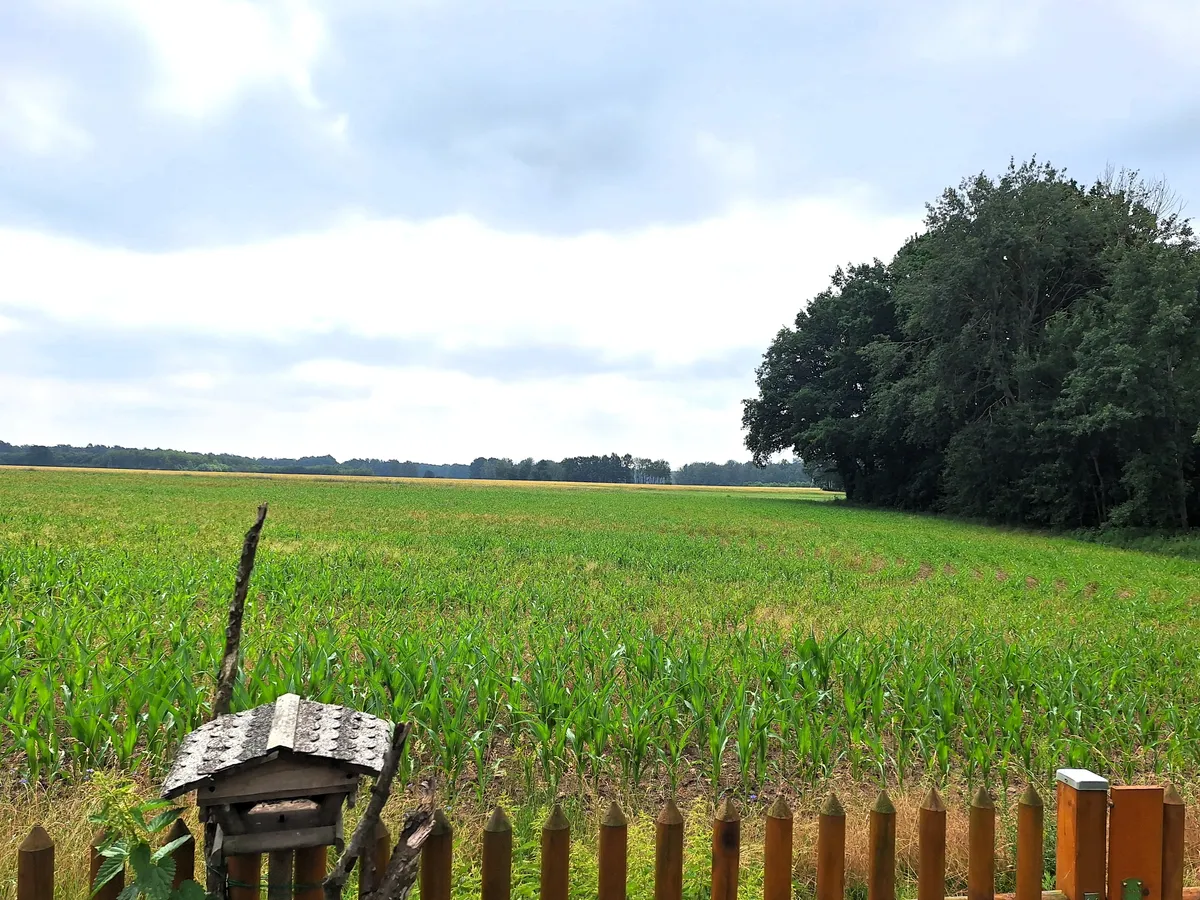 hinter dem Grundstück