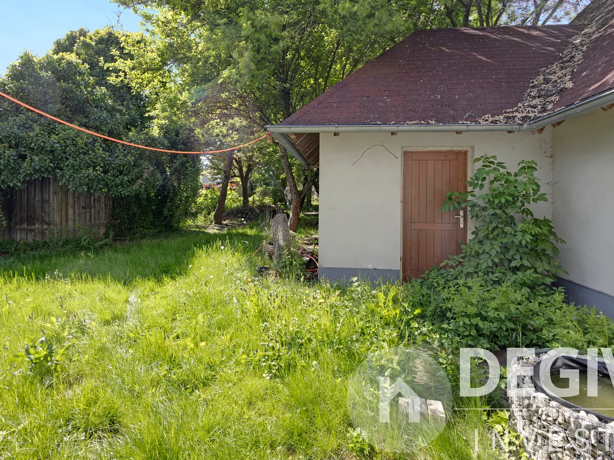Garten und Garage
