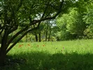 Britzer Garten