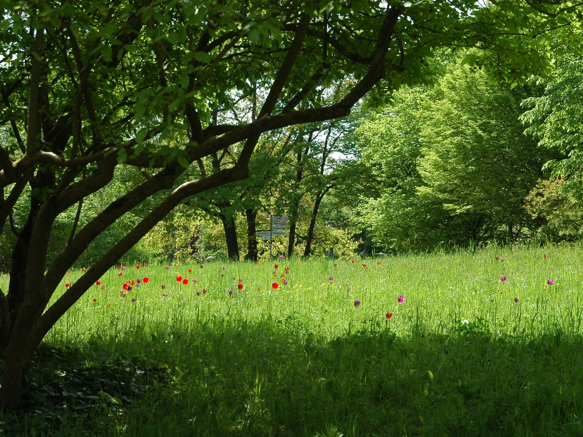 Britzer Garten