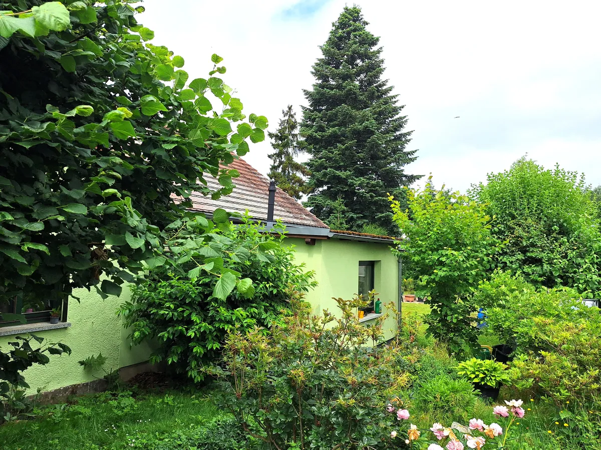 Seitenansicht