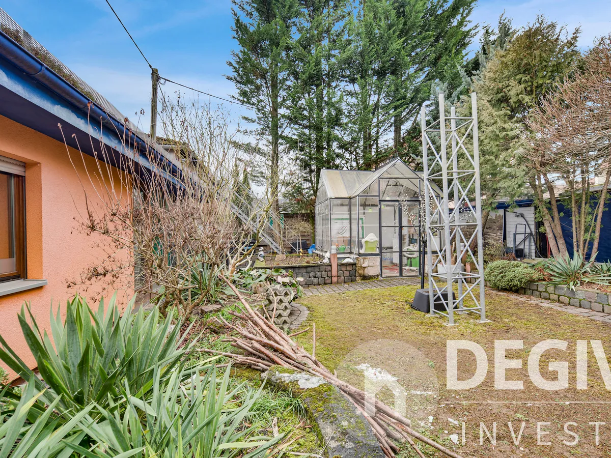 Üppige Bepflanzung im Gartenbereich