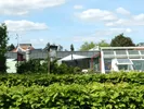 aus dem "Britzer Garten"