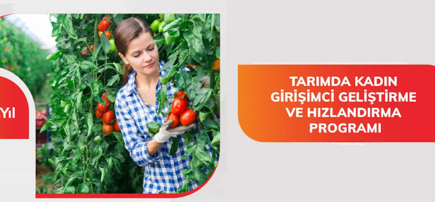 Tarımda Kadın Girişimci Geliştirme ve Hızlandırma Programı 6. Dönem Başvuruları Başladı!