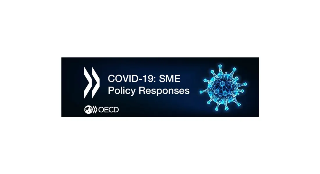 OECD CFE Mart 2020 Geçici Dönem Ekonomik Görünüm Raporu